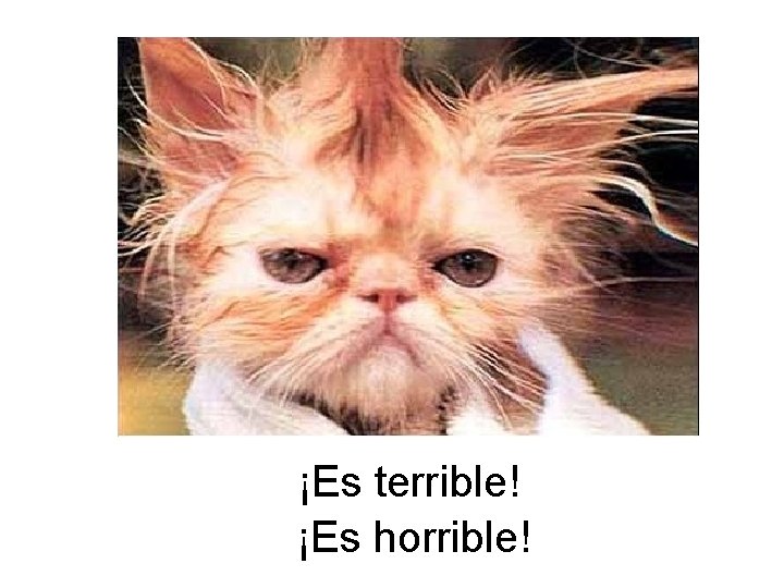 ¡Es terrible! ¡Es horrible! 