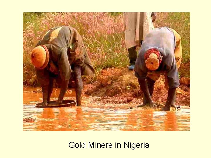 Gold Miners in Nigeria 