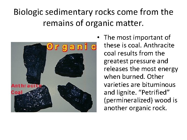 Biologic sedimentary rocks come from the remains of organic matter. • The most important