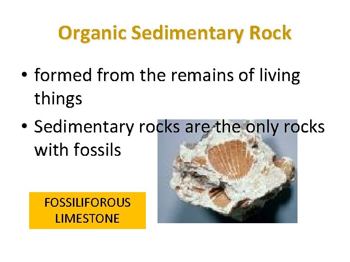 Organic Sedimentary Rock • formed from the remains of living things • Sedimentary rocks