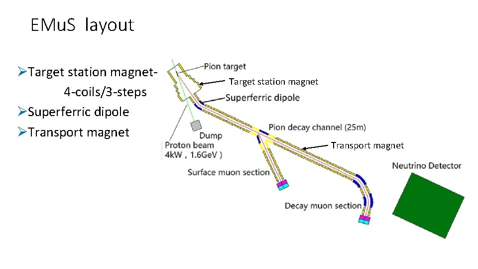 EMu. S layout ØTarget station magnet 4 -coils/3 -steps ØSuperferric dipole ØTransport magnet Target