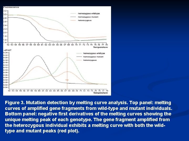 Figure 3. Mutation detection by melting curve analysis. Top panel: melting curves of amplified