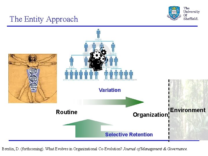 The Entity Approach Variation Routine Organization Environment Selective Retention Breslin, D. (forthcoming). What Evolves