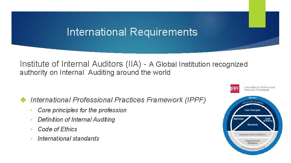 International Requirements Institute of Internal Auditors (IIA) - A Global Institution recognized authority on