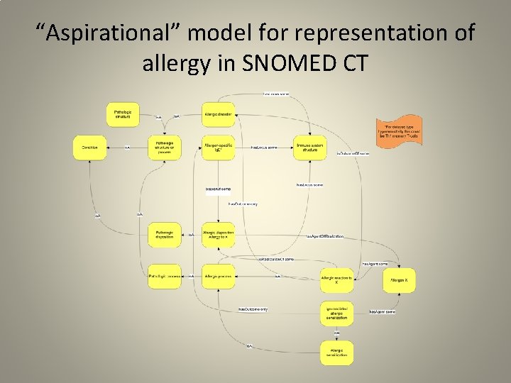 “Aspirational” model for representation of allergy in SNOMED CT 