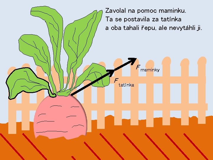 Zavolal na pomoc maminku. Ta se postavila za tatínka a oba tahali řepu, ale