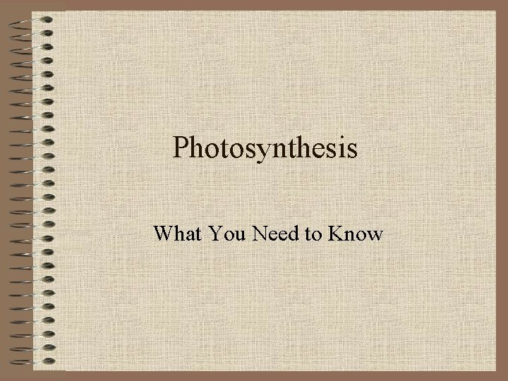 Photosynthesis What You Need to Know 