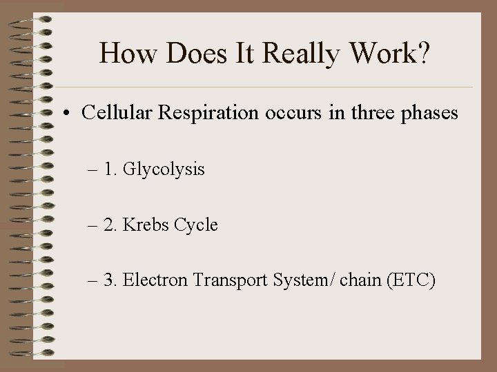 How Does It Really Work? • Cellular Respiration occurs in three phases – 1.