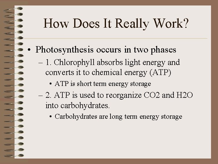 How Does It Really Work? • Photosynthesis occurs in two phases – 1. Chlorophyll