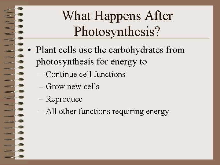 What Happens After Photosynthesis? • Plant cells use the carbohydrates from photosynthesis for energy