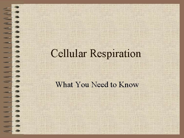 Cellular Respiration What You Need to Know 