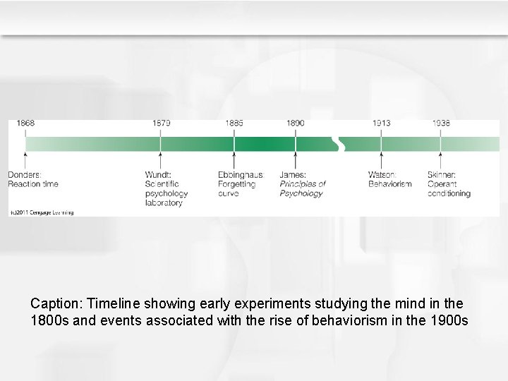 Caption: Timeline showing early experiments studying the mind in the 1800 s and events