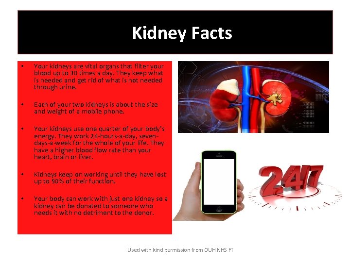 Kidney Facts • Your kidneys are vital organs that filter your blood up to