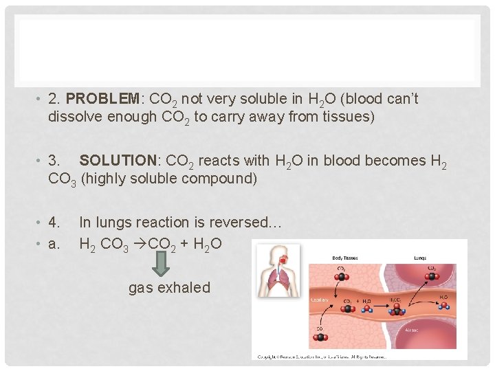  • 2. PROBLEM: CO 2 not very soluble in H 2 O (blood