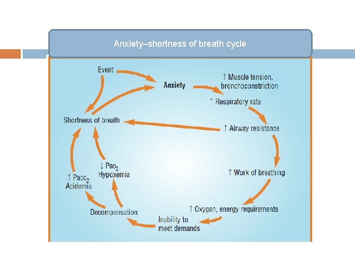 Anxiety–shortness of breath cycle 