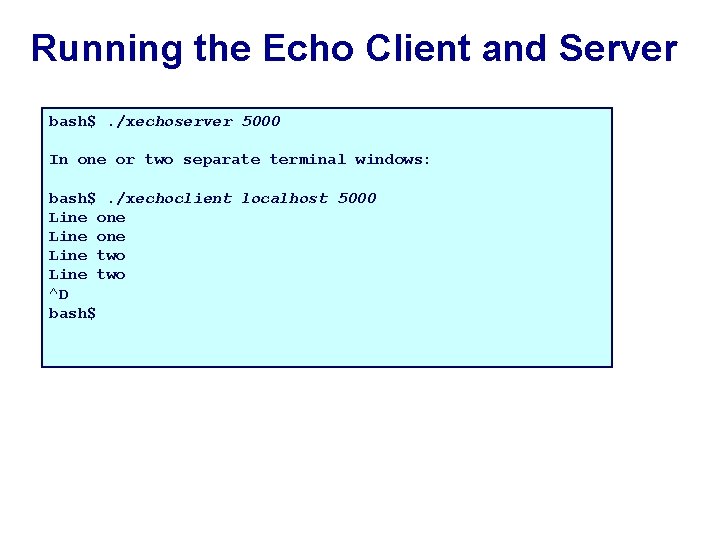 Running the Echo Client and Server bash$. /xechoserver 5000 In one or two separate