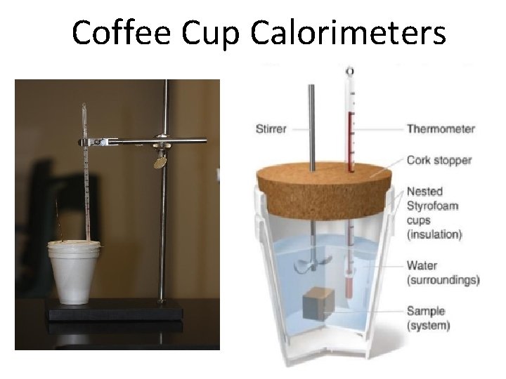 Coffee Cup Calorimeters 