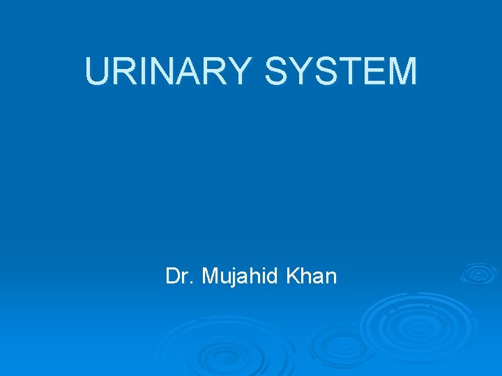 URINARY SYSTEM Dr. Mujahid Khan 
