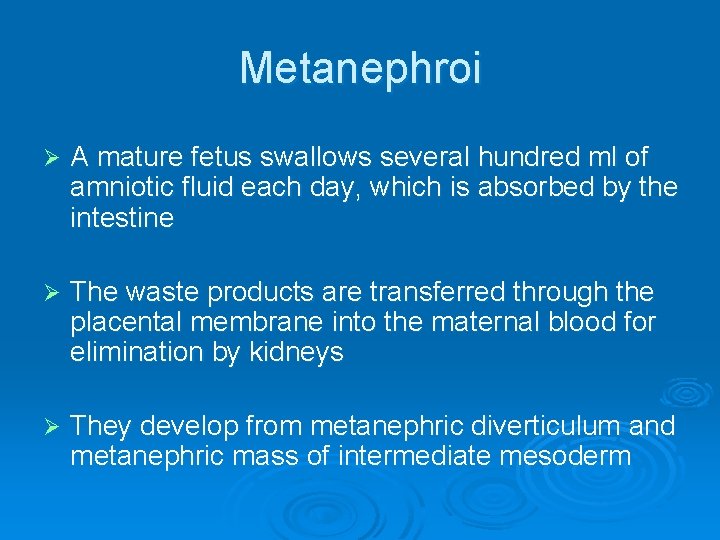 Metanephroi Ø A mature fetus swallows several hundred ml of amniotic fluid each day,