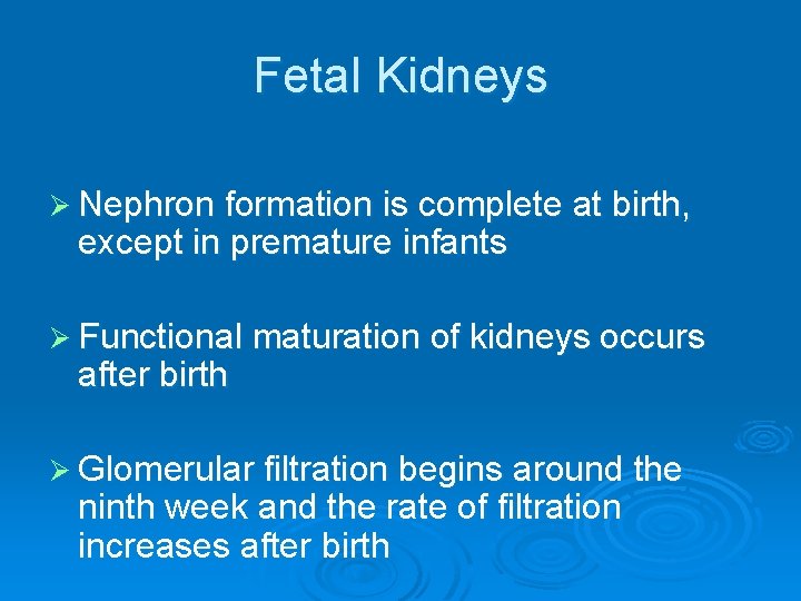 Fetal Kidneys Ø Nephron formation is complete at birth, except in premature infants Ø