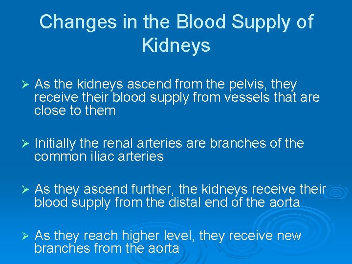 Changes in the Blood Supply of Kidneys Ø As the kidneys ascend from the