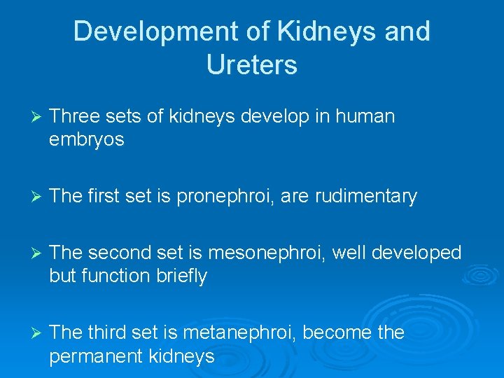 Development of Kidneys and Ureters Ø Three sets of kidneys develop in human embryos