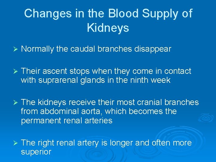Changes in the Blood Supply of Kidneys Ø Normally the caudal branches disappear Ø