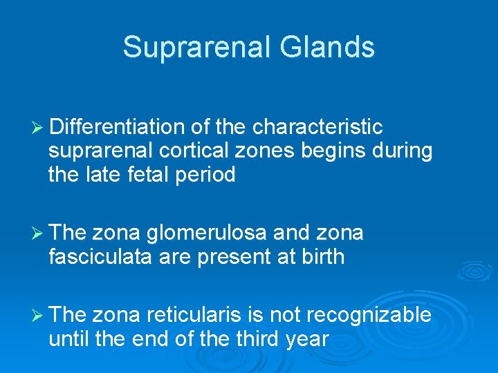 Suprarenal Glands Ø Differentiation of the characteristic suprarenal cortical zones begins during the late