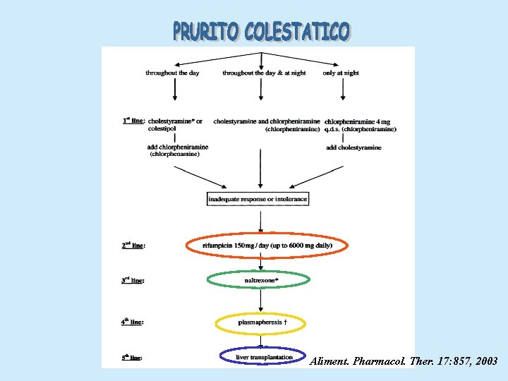 Aliment. Pharmacol. Ther. 17: 857, 2003 