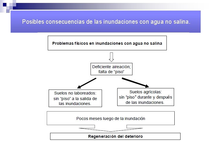 Posibles consecuencias de las inundaciones con agua no salina. 