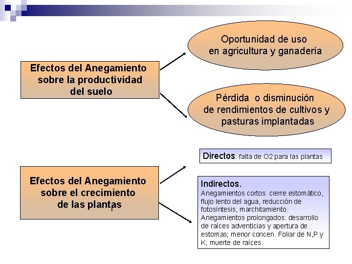 Oportunidad de uso en agricultura y ganadería Efectos del Anegamiento sobre la productividad del