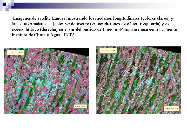 Imágenes de satélite Landsat mostrando los médanos longitudinales (colores claros) y áreas intermedanosas (color