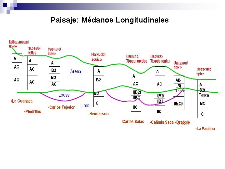 Paisaje: Médanos Longitudinales 