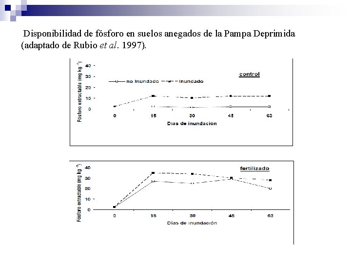Disponibilidad de fósforo en suelos anegados de la Pampa Deprimida (adaptado de Rubio et