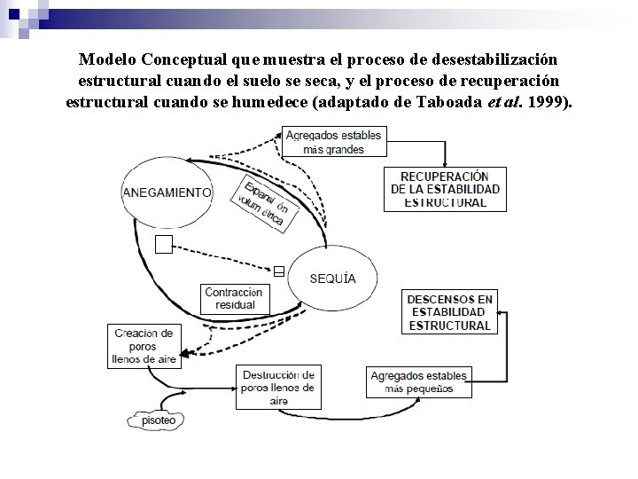 Modelo Conceptual que muestra el proceso de desestabilización estructural cuando el suelo se seca,
