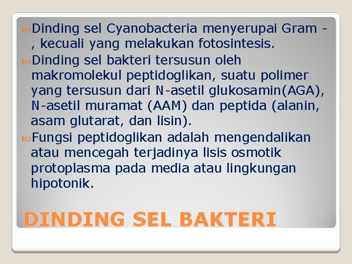  Dinding sel Cyanobacteria menyerupai Gram , kecuali yang melakukan fotosintesis. Dinding sel bakteri