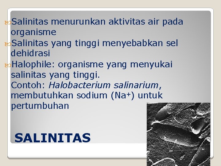  Salinitas menurunkan aktivitas air pada organisme Salinitas yang tinggi menyebabkan sel dehidrasi Halophile: