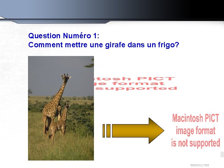 Question Numéro 1: Comment mettre une girafe dans un frigo? 