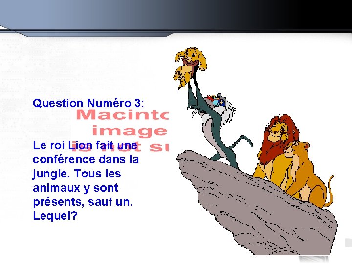 Question Numéro 3: Le roi Lion fait une conférence dans la jungle. Tous les