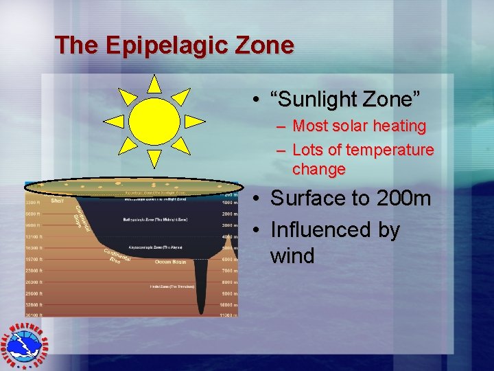 The Epipelagic Zone • “Sunlight Zone” – Most solar heating – Lots of temperature