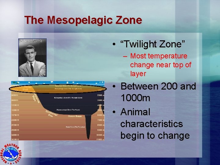 The Mesopelagic Zone • “Twilight Zone” – Most temperature change near top of layer