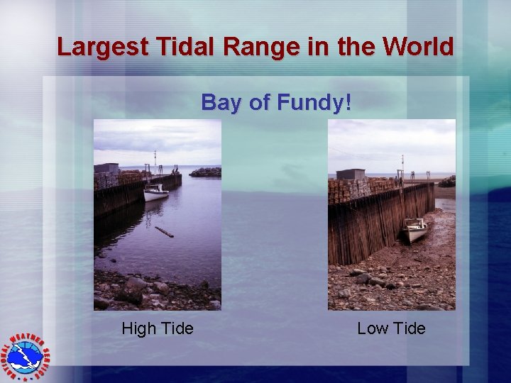 Largest Tidal Range in the World Bay of Fundy! High Tide Low Tide 