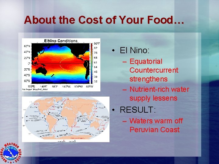 About the Cost of Your Food… • El Nino: – Equatorial Countercurrent strengthens –