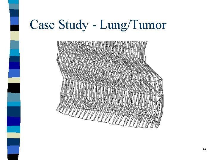 Case Study - Lung/Tumor 44 