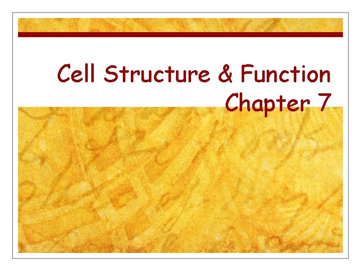 Cell Structure & Function Chapter 7 