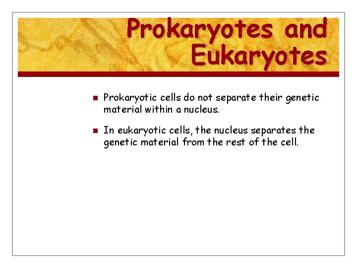 Prokaryotes and Eukaryotes n n Prokaryotic cells do not separate their genetic material within