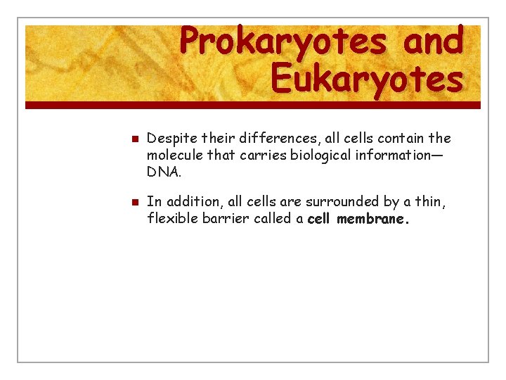 Prokaryotes and Eukaryotes n n Despite their differences, all cells contain the molecule that