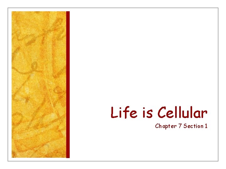 Life is Cellular Chapter 7 Section 1 