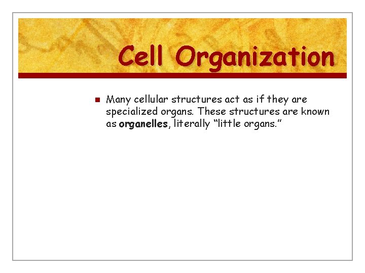 Cell Organization n Many cellular structures act as if they are specialized organs. These