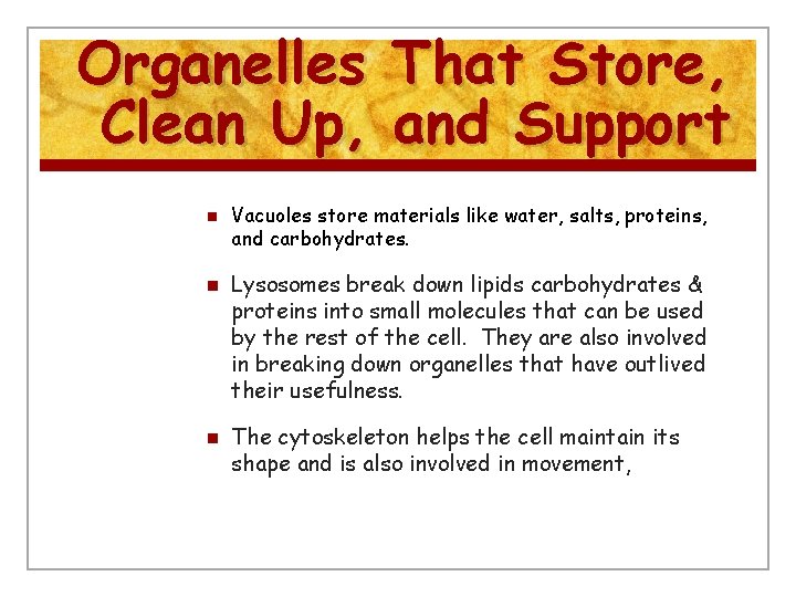 Organelles That Store, Clean Up, and Support n n n Vacuoles store materials like